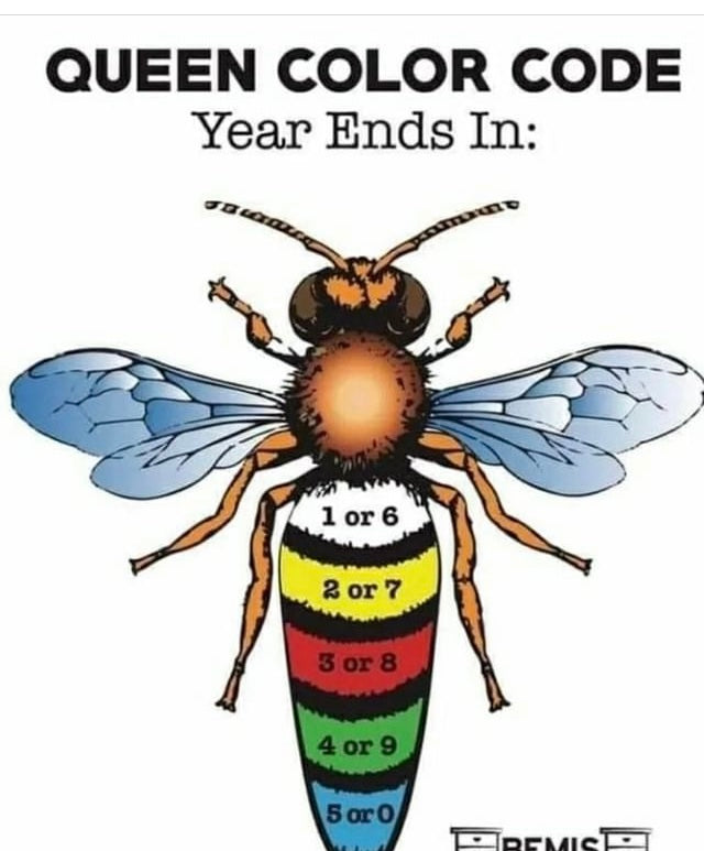 Queen Marking Posca Pen