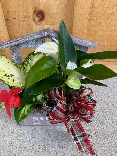 Small Festive Planters