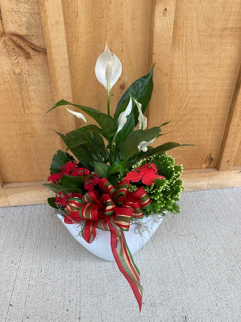 Medium Holiday Planter