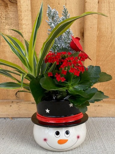 Festive Planters