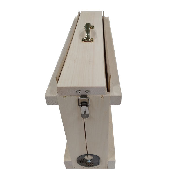 Observation Hive - Single Frame