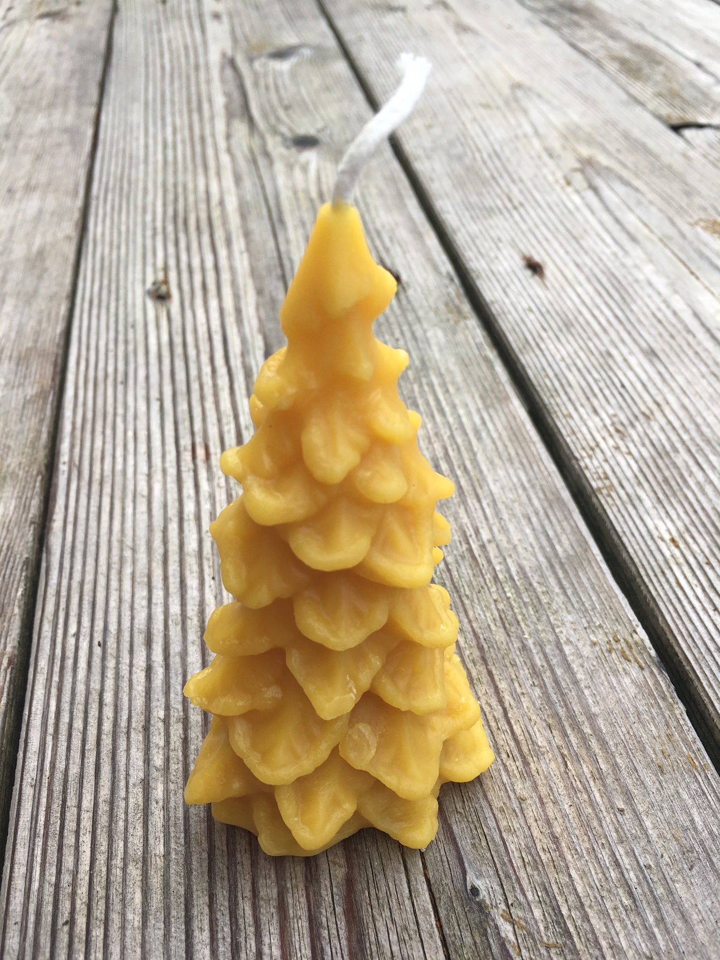 Pine Tree Candle