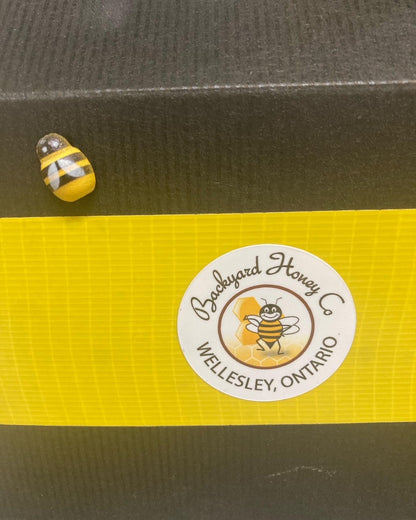 Mini Bee-cause Box